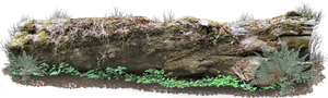 Mossy Forest Log PNG image with transparent background