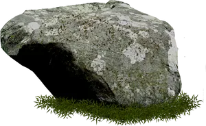 Mossy_ Rock_with_ Grass_ Texture PNG Image