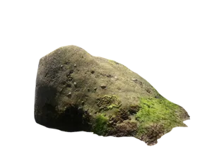 Mossy Rockon Black Background PNG Image