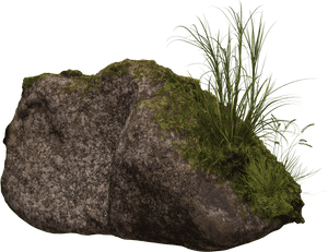 Mossy Rockwith Grass Clump PNG with transparent background