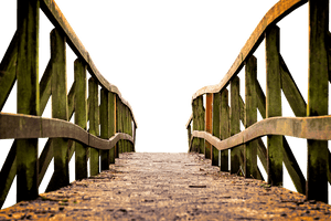 Mossy Wooden Bridge Path PNG image with transparent background