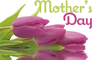 Mothers Day Pink Tulips PNG Image