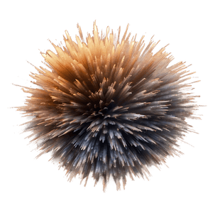 Motion Explosion Dust PNG 63 PNG