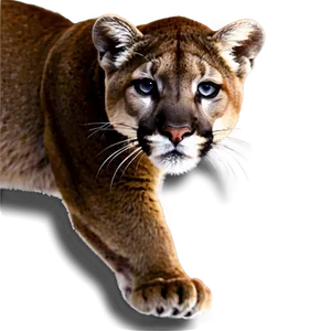 Mountain Lion Climb Png Lxk PNG Image