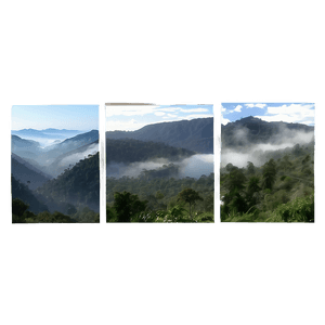 Mountain Mist View PNG kjm PNG image with transparent background
