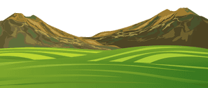 Meadow Greenscape PNG Photos PNG with transparent background