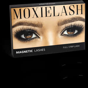 Eyelash Clip False - Moxie Lashes, HD Png Download PNG image with transparent background