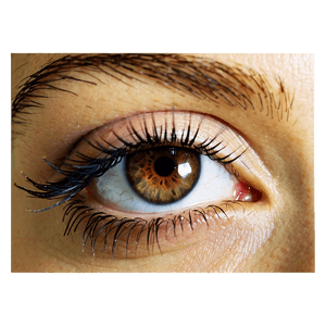 Multipack Eyelashes PNG sms77 PNG