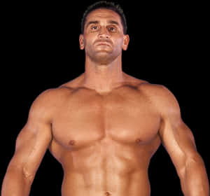 Ken Shamrock Pro - Wwe Ken Shamrock Png, Transparent Png PNG image with transparent background