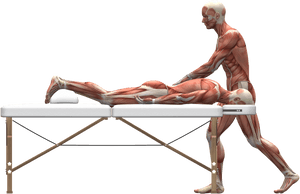 Massage Therapy 2277454 1920 - Massage And Personal Trainer, HD Png Download PNG image with transparent background