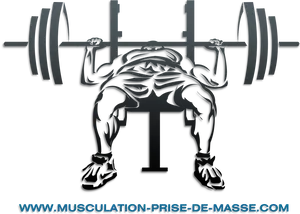 Muscular Bodybuilder Barbell Squat Silhouette PNG Image