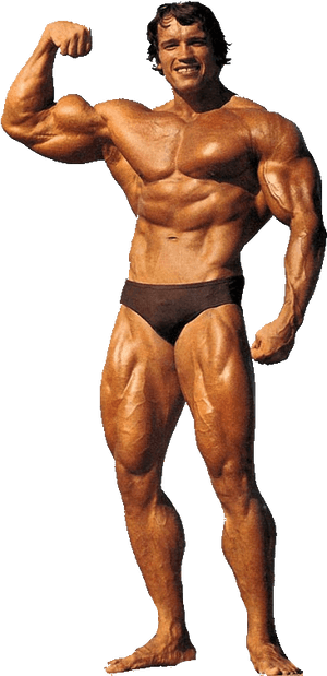 Thumb Image - Arnold Schwarzenegger Bodybuilding Png, Transparent Png PNG image with transparent background