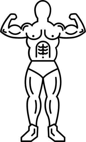 Gymnast In Frontal View Showing His Muscles, HD Png Download PNG image with transparent background