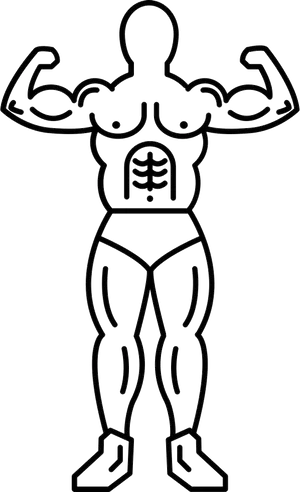 Muscular Outline Icon PNG Image