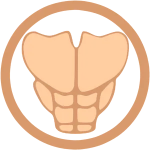 Muscular System Abdominal Muscles Icon PNG Image