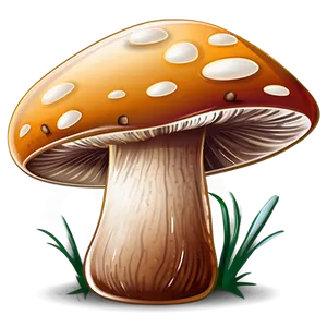 Mushroom Cartoon Illustration Png 06272024 PNG Image