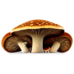 Mushroom Spores Png 8 PNG Image