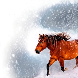 Mustang Horse In Blizzard Png 57 PNG Image