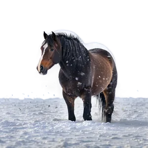 Mustang Horse In Blizzard Png Taw48 PNG Image