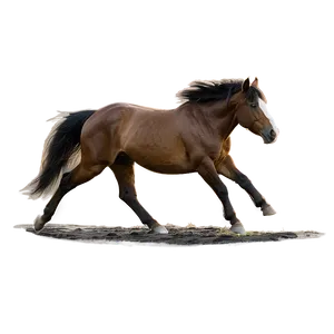 Mustang Horse In Moonlight Png 24 PNG Image