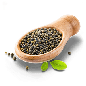 Mustard Seed Seasoning PNG fit PNG with transparent background