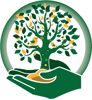 Kisspng Mustardseed Health Care Services Llc Mustard - Mustard Seed Tree Clip Art, Transparent Png PNG image with transparent background