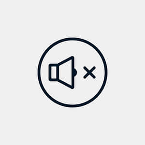 Muted Speaker Icon PNG with transparent background