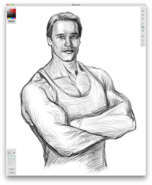 My Portrait Of Arnold Schwarzenegger - Sketch, HD Png Download PNG image with transparent background