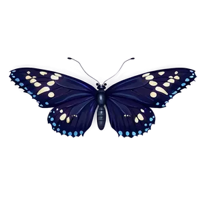 Mysterious Black Butterfly Png 06252024 PNG Image