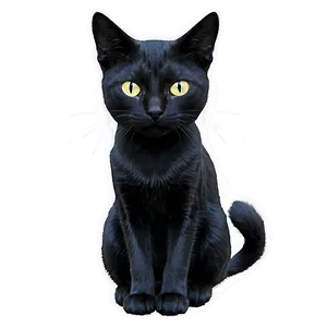 Mysterious Black Cat Png Awy PNG Image