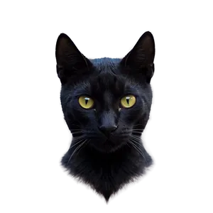 Mysterious Black Cat Png Ggq PNG Image