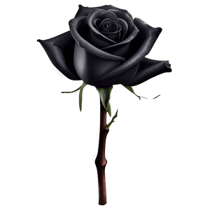 Mysterious Black Roses PNG 2 PNG