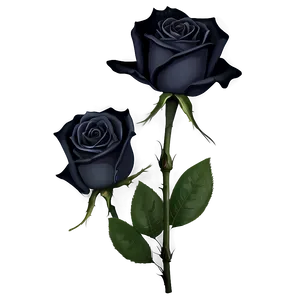 Mysterious Black Roses Png 98 PNG Image