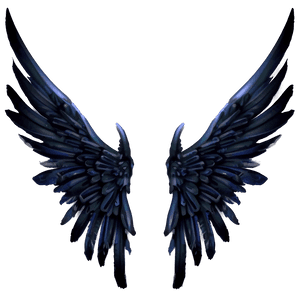 Mysterious Black Wings Art PNG 69 PNG