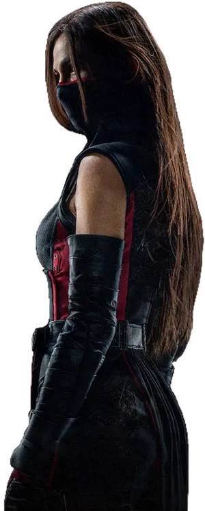 Mysterious_ Female_ Vigilante_ Profile PNG Image