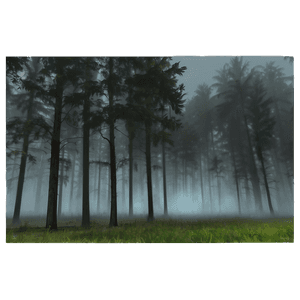 Mysterious Fog PNG gon59 PNG