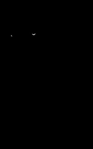 Mysterious Night Smile PNG image with transparent background