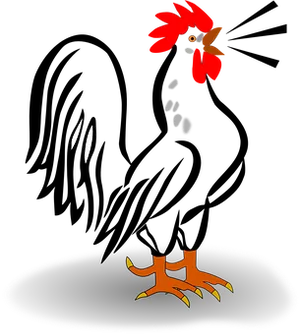 Mysterious_ Rooster_ Illustration PNG Image