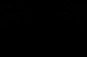 Mysterious_ Tree_ Silhouette PNG