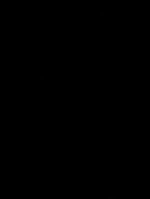 Mysterious_ Tree_ Silhouette_ Night_ Sky PNG