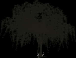 Spanish Moss Tree Silhouette PNG image with transparent background