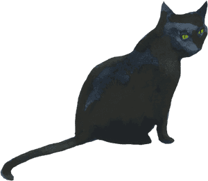 Black Cat, HD Png Download PNG