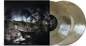 Mystical Bridge Vinyl Records PNG Image