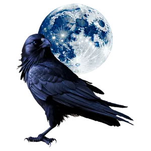 Mystical Raven In Moonlight Png Tvv PNG Image