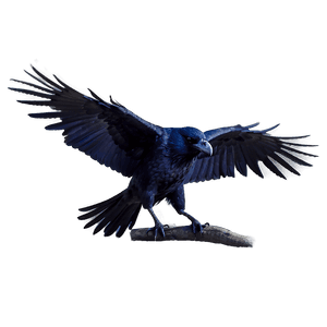 Mystical Raven PNG 05062024 PNG image with transparent background