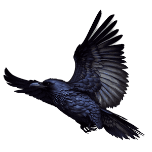 Mystical Raven PNG 12 PNG image with transparent background