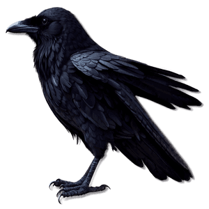Mystical Raven PNG egw PNG image with transparent background