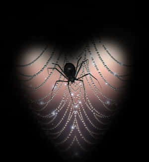 Mystical Spider Dewy Web PNG image with transparent background