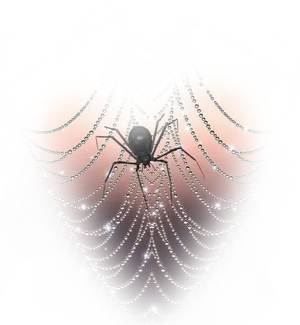 Mystical Spider Dewy Web PNG Image