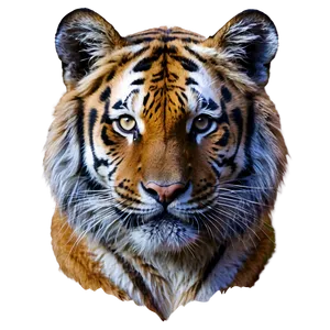 Mystical Tiger Face Aura Png 06252024 PNG Image